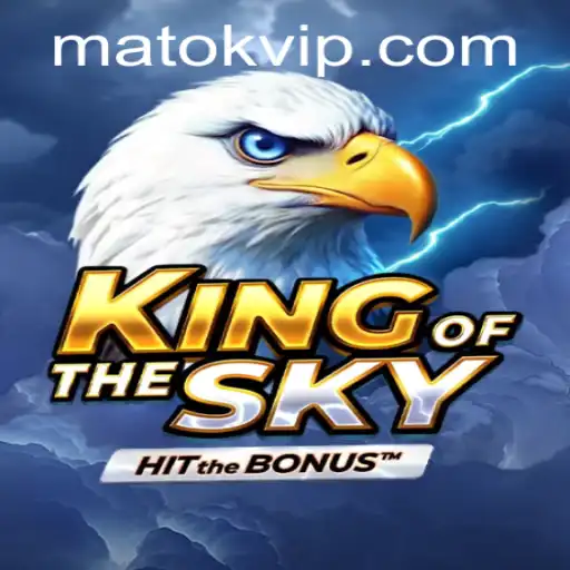 KingOfTheSky: Soaring Adventures and Strategic Skies